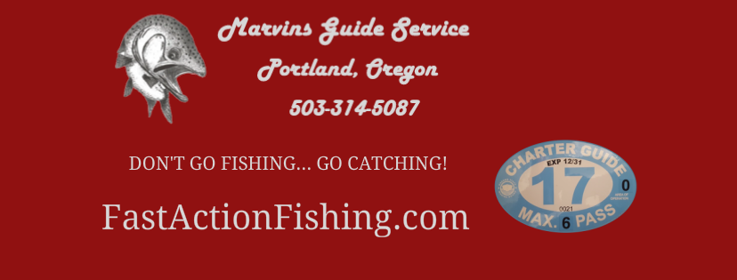 Marvin's Guide Service
